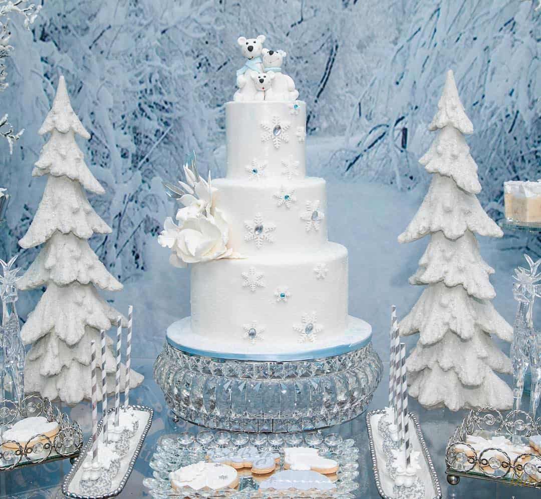 Gender reveal party ideas for winter