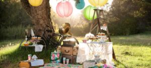 Outdoor Birthday Party Ideas