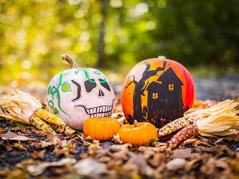 Halloween Party Ideas